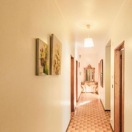 Beach Avenue Apartment Ferrel  Exterior foto